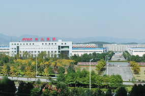 关于亚新（中国）